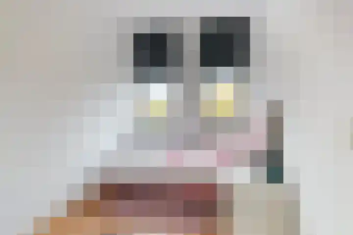 Hazelaarserf 20 Bathmen thumbnail 18