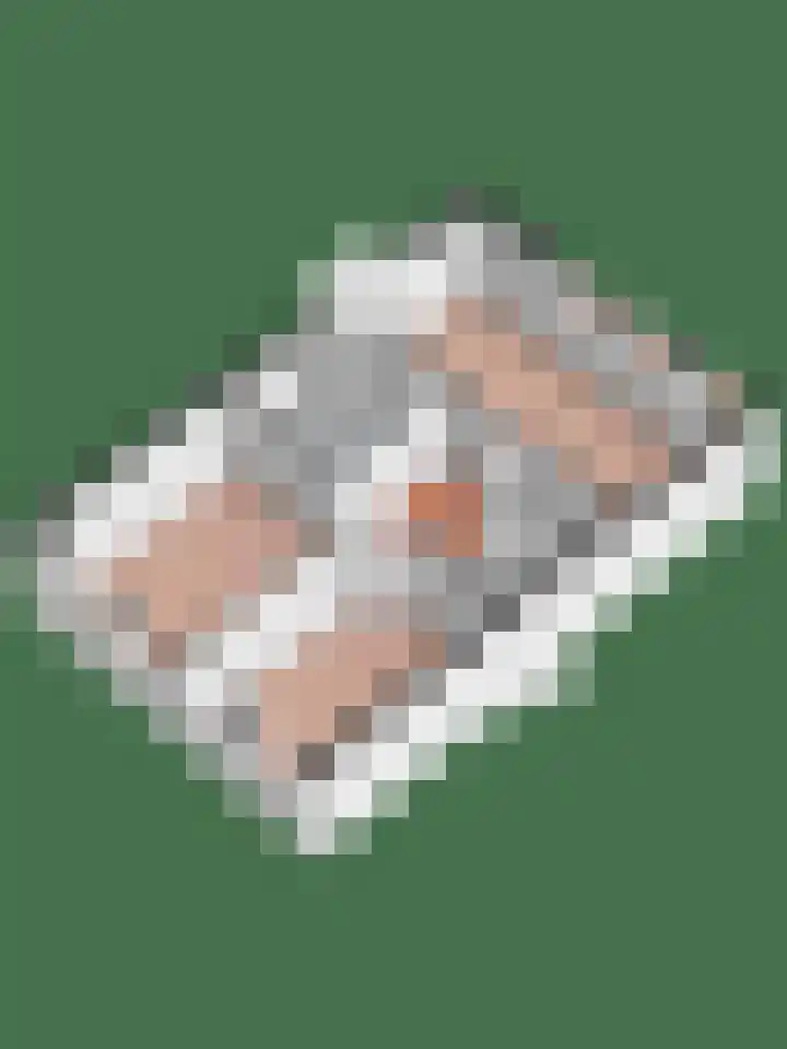 Hazelaarserf 20 Bathmen thumbnail 34