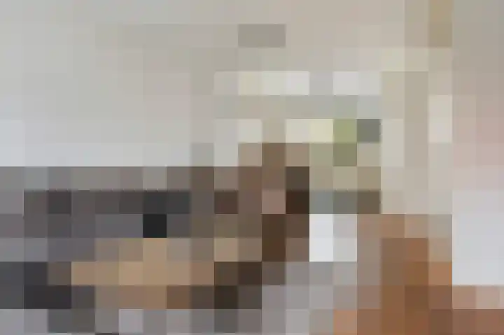 Hazelaarserf 20 Bathmen thumbnail 4