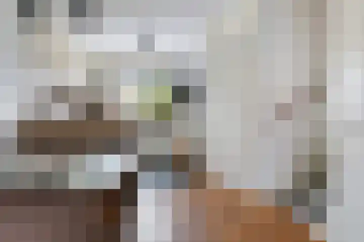 Hazelaarserf 20 Bathmen thumbnail 9