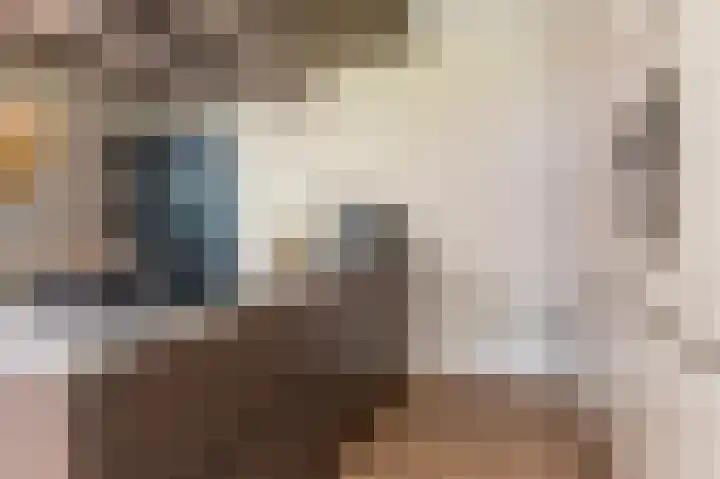 Hazelaarserf 4 Bathmen thumbnail 13