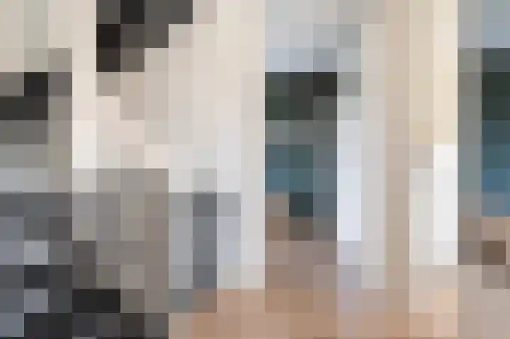 Hazelaarserf 4 Bathmen thumbnail 15
