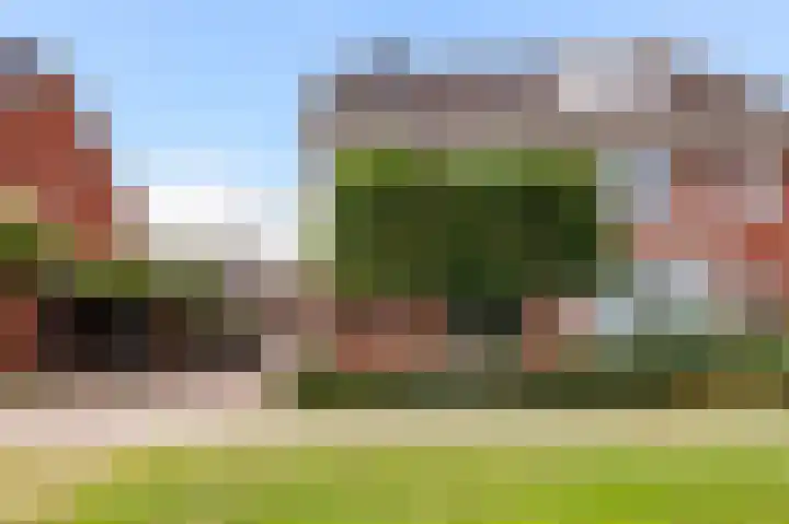 Hazelaarserf 4 Bathmen foto 2