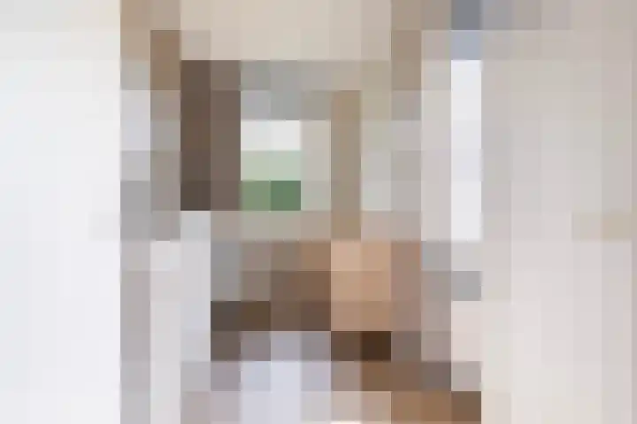 Hazelaarserf 4 Bathmen thumbnail 20
