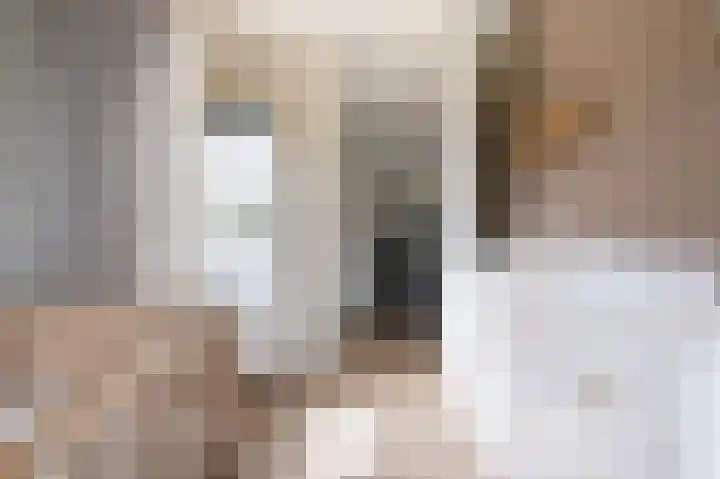 Hazelaarserf 4 Bathmen thumbnail 21