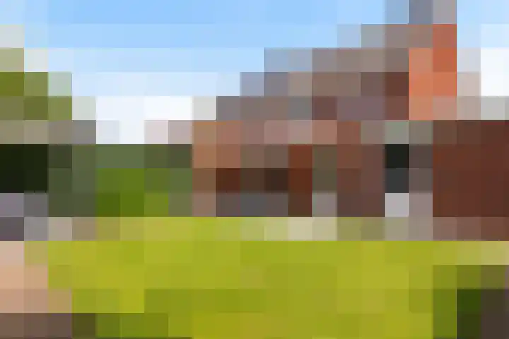 Hazelaarserf 4 Bathmen thumbnail 29