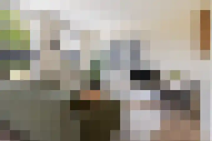Hazelaarserf 4 Bathmen foto 3