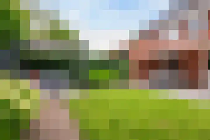 Hazelaarserf 4 Bathmen thumbnail 30