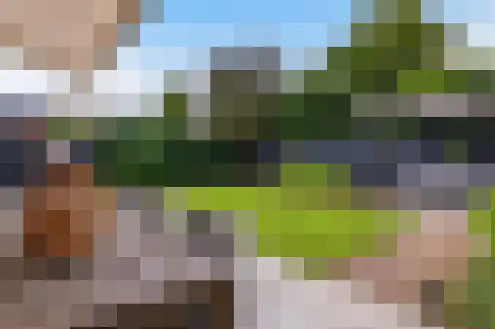 Hazelaarserf 4 Bathmen thumbnail 31
