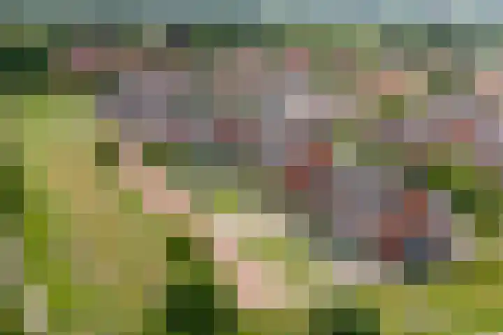 Hazelaarserf 4 Bathmen thumbnail 34