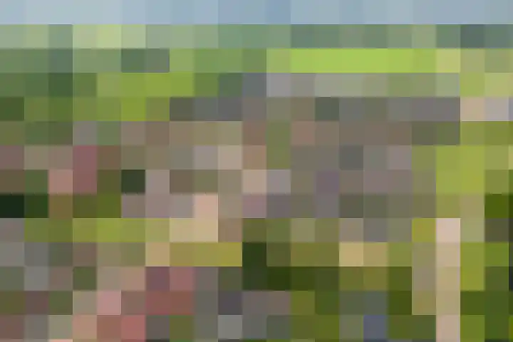 Hazelaarserf 4 Bathmen thumbnail 35