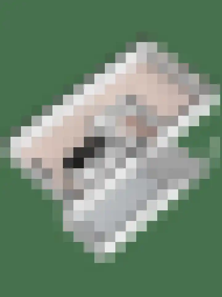 Hazelaarserf 4 Bathmen thumbnail 41