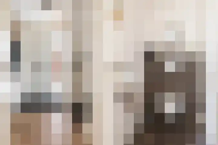 Hazelaarserf 4 Bathmen thumbnail 9
