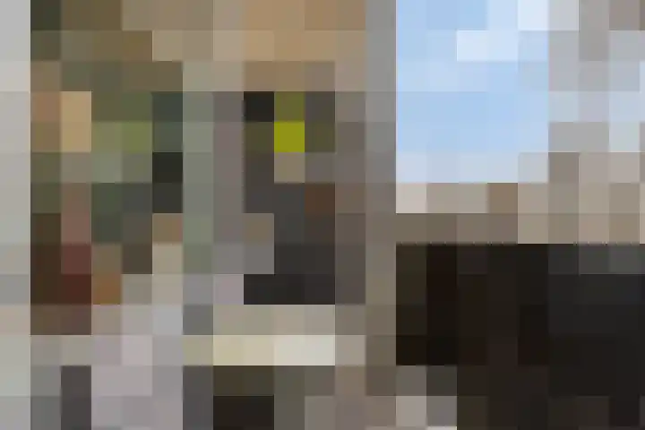 Hazelaarsgaard 4 Boxtel thumbnail 12