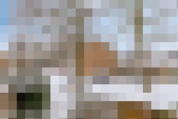Hazelaarsgaard 4 Boxtel thumbnail 13