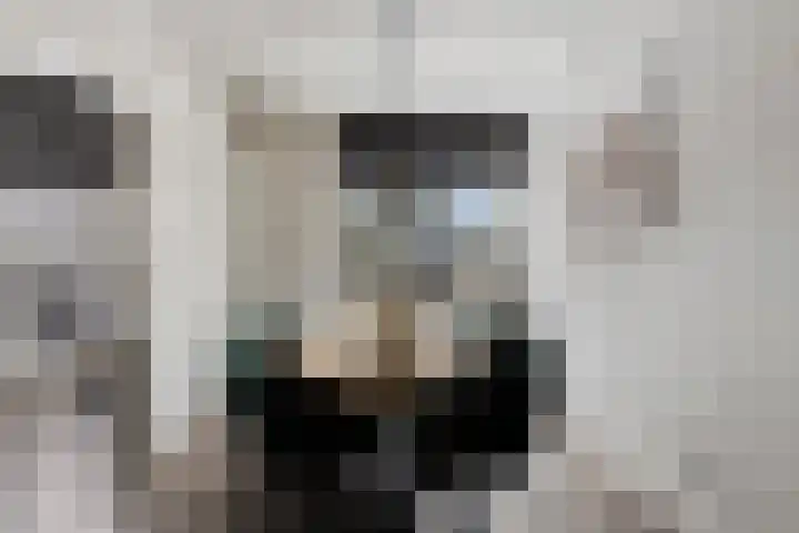 Hazelaarsgaard 4 Boxtel thumbnail 15