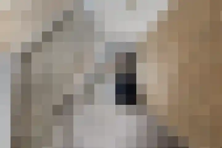 Hazelaarsgaard 4 Boxtel thumbnail 4