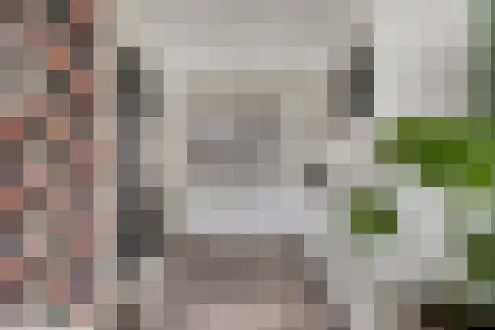 Hazelaarsgaard 4 Boxtel thumbnail 9