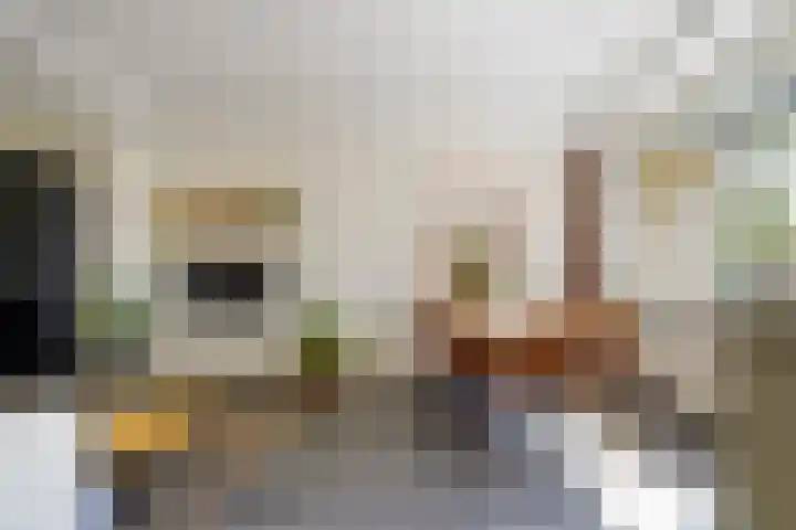 Hazelaarsgaard 8 Boxtel thumbnail 22