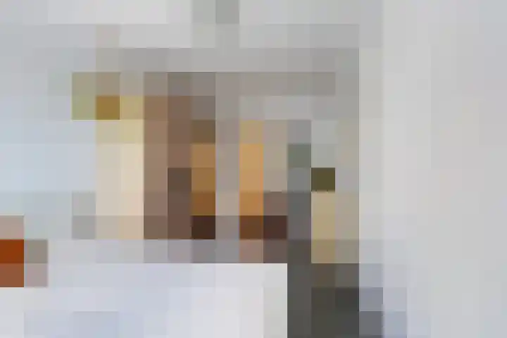 Hazelaarsgaard 8 Boxtel thumbnail 28
