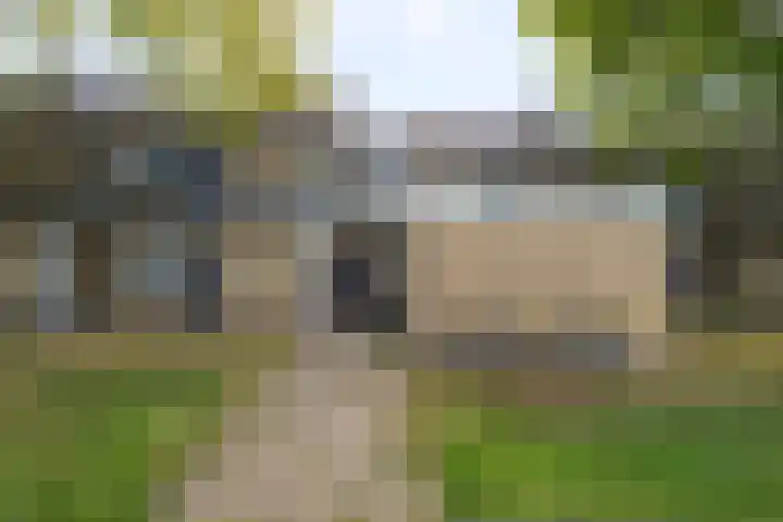 Hazelaarsgaard 8 Boxtel thumbnail 4