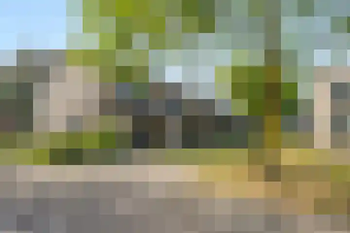 Hazelaarsgaard 8 Boxtel thumbnail 59
