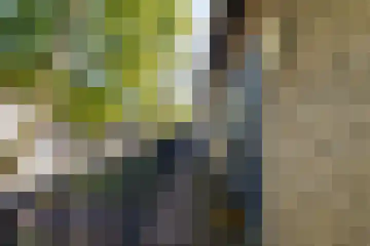 Hazelaarsgaard 8 Boxtel thumbnail 6
