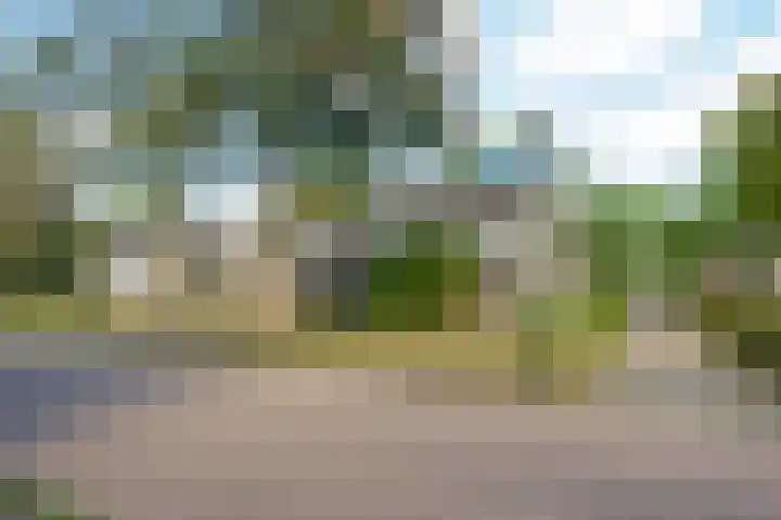 Hazelaarsgaard 8 Boxtel thumbnail 60