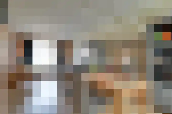 Hazelaarshof 17 Enkhuizen thumbnail 16