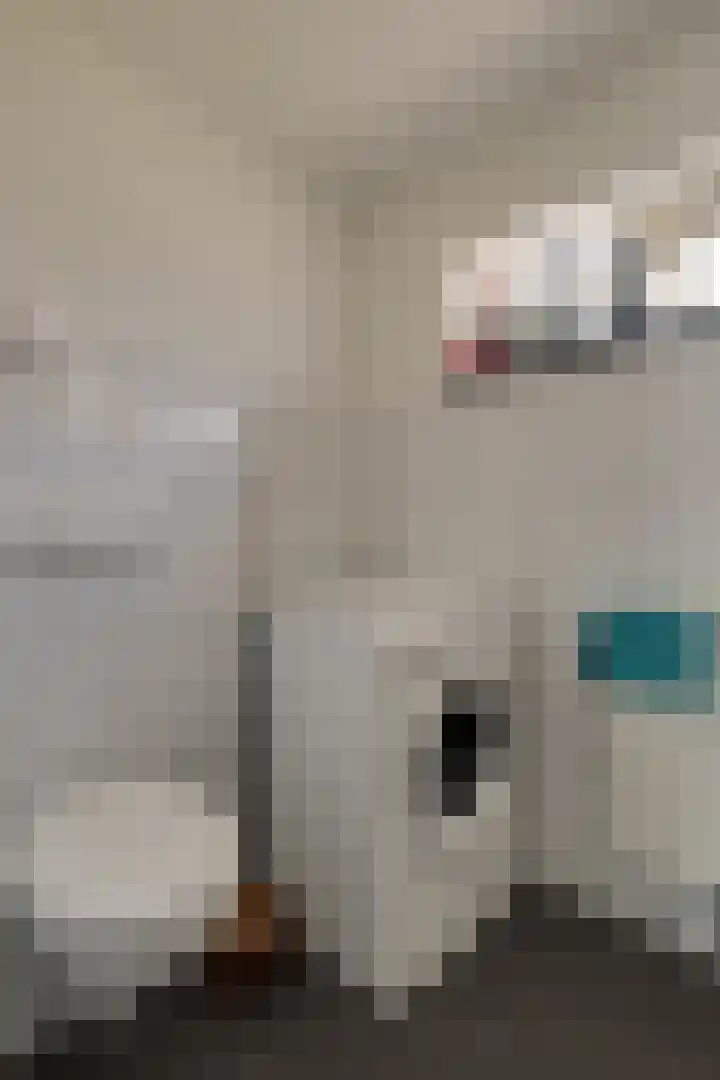 Hazelaarshof 17 Enkhuizen thumbnail 34