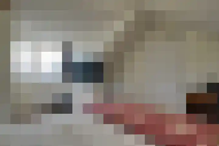 Hazelaarshof 17 Enkhuizen thumbnail 38