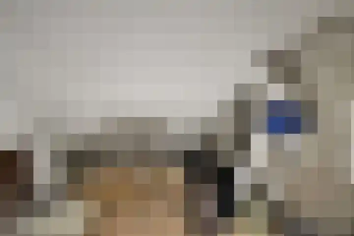 Hazelaarshof 17 Enkhuizen thumbnail 40