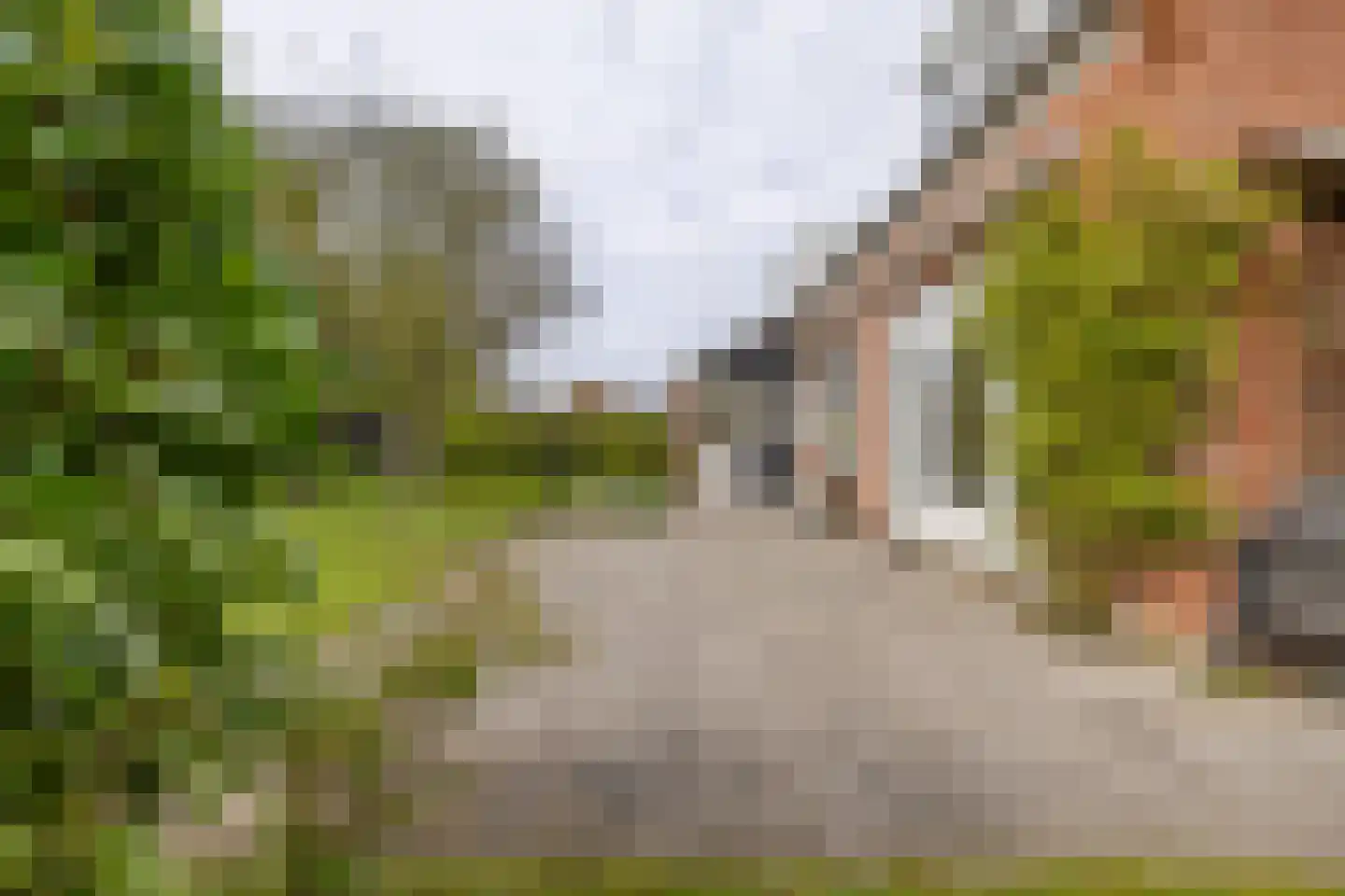 Hazelaarslaan 3 Middelburg thumbnail 20