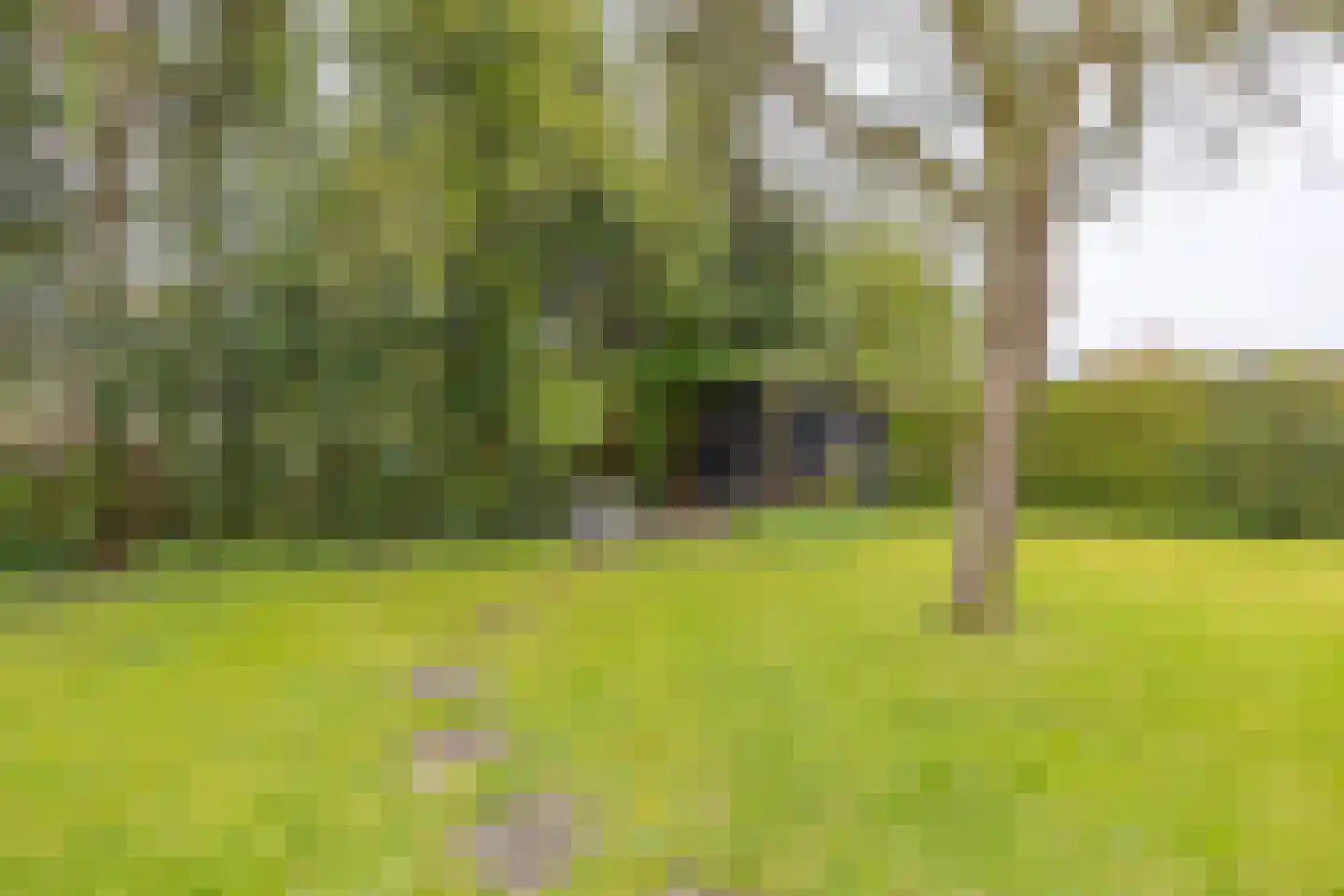 Hazelaarslaan 3 Middelburg thumbnail 23
