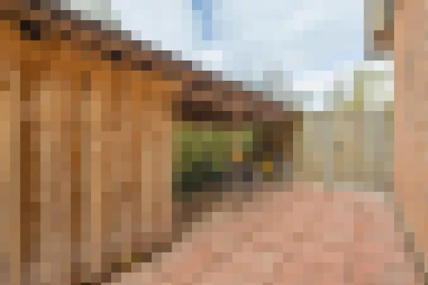 Hazelaarslaan 3 Middelburg thumbnail 27