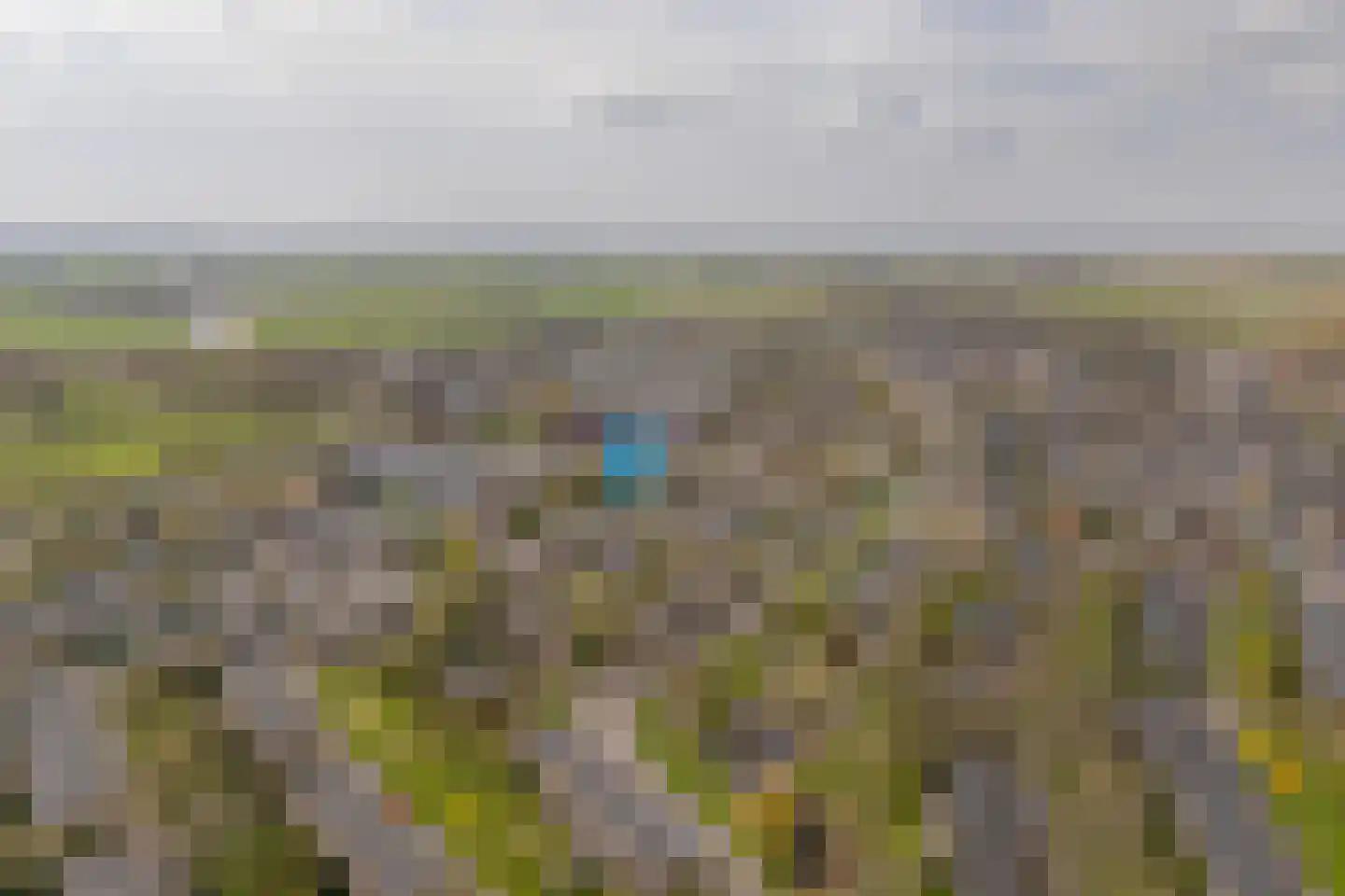 Hazelaarslaan 3 Middelburg thumbnail 4