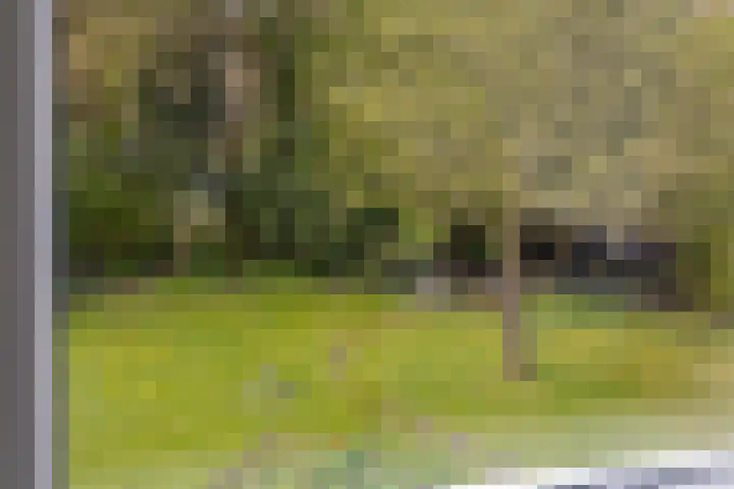 Hazelaarslaan 3 Middelburg thumbnail 53