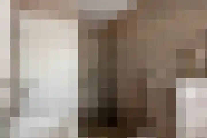 Hazelaarstraat 1 Arnhem thumbnail 37