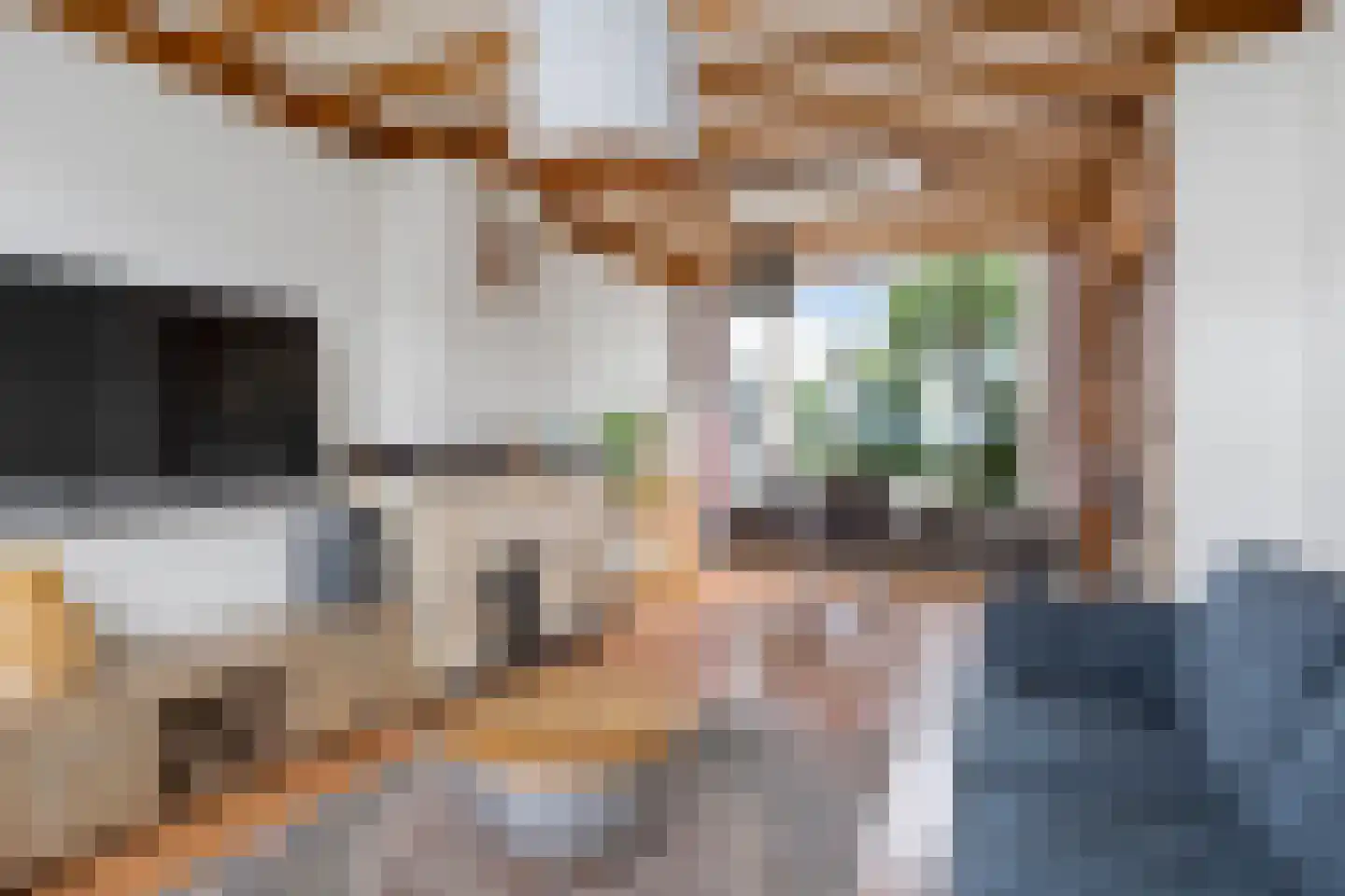 Hazelaarstraat 10 Oudenbosch thumbnail 4