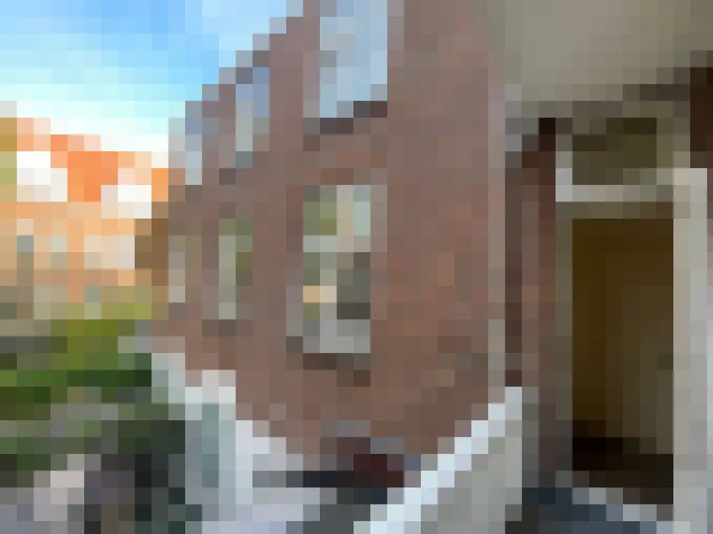 Hazelaarstraat 105 Den Haag thumbnail 23