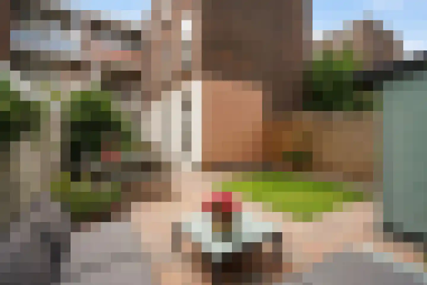 Hazelaarstraat 109 Den Haag thumbnail 34