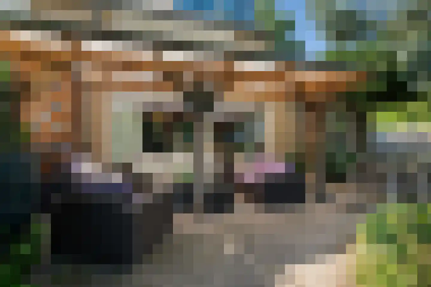 Hazelaarstraat 14 Vianen thumbnail 22