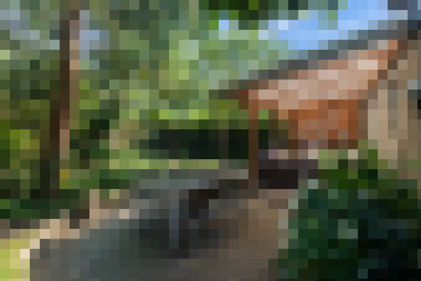 Hazelaarstraat 14 Vianen thumbnail 23