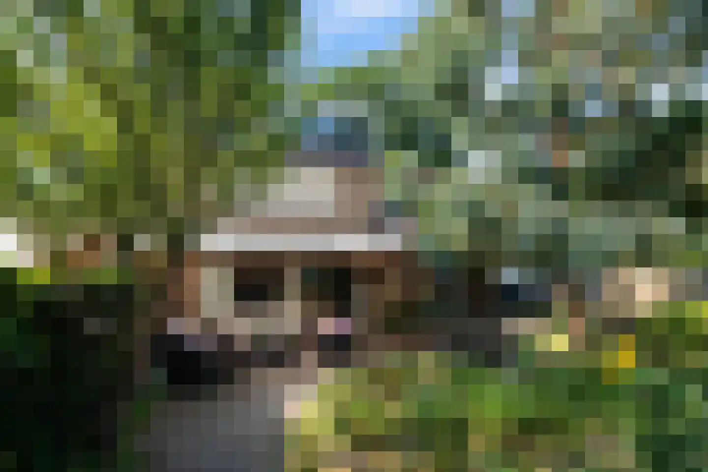 Hazelaarstraat 14 Vianen thumbnail 24
