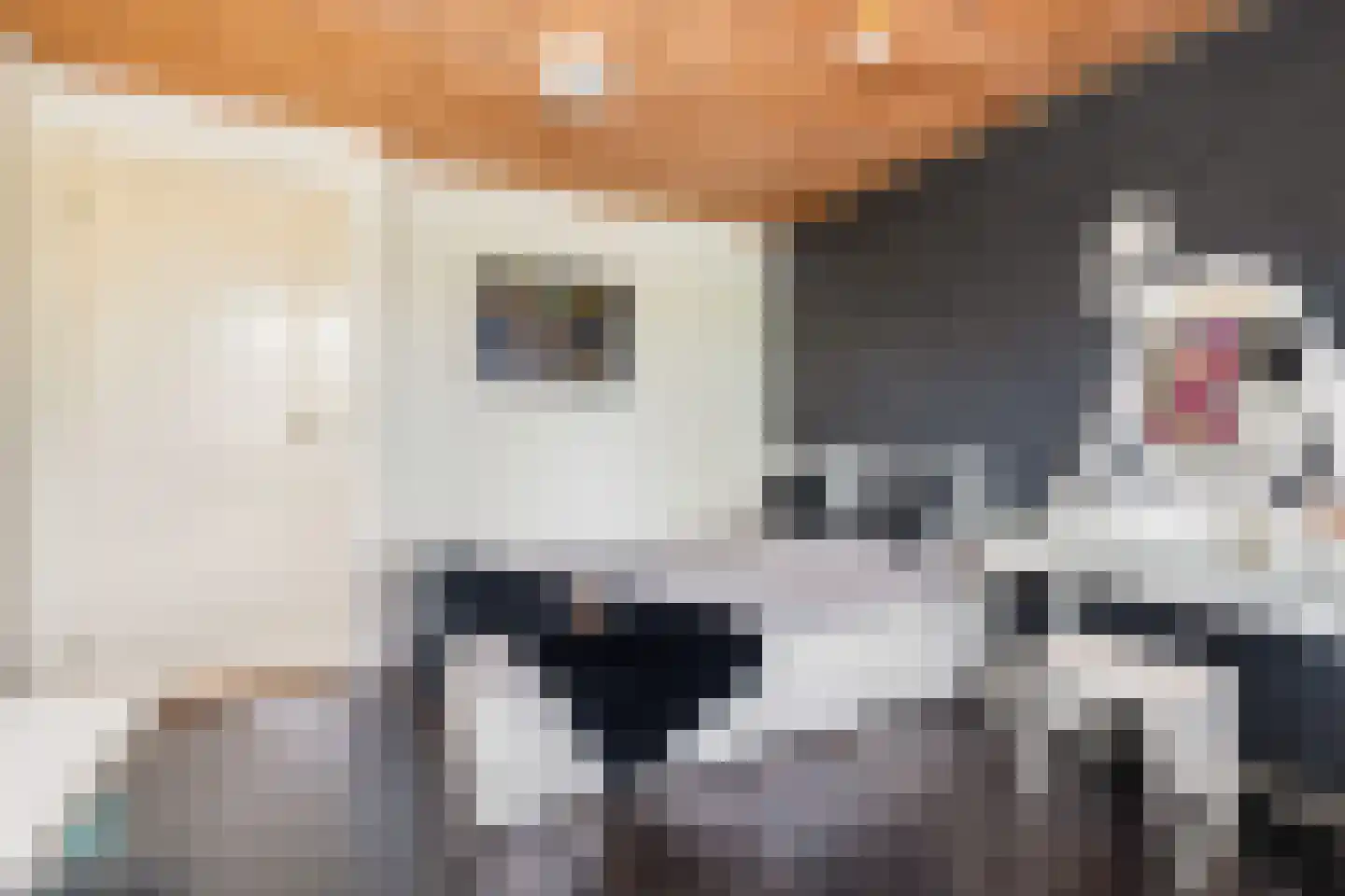 Hazelaarstraat 14 Vianen thumbnail 28