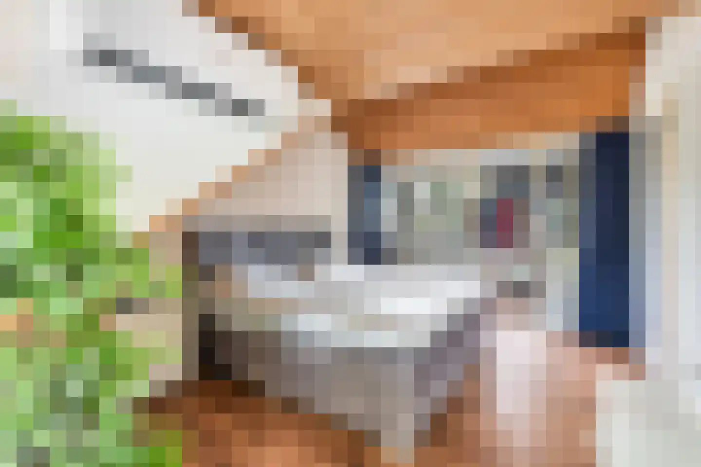 Hazelaarstraat 14 Vianen thumbnail 42