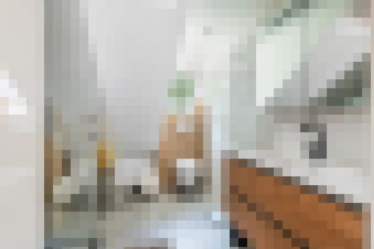 Hazelaarstraat 14 Vianen thumbnail 44