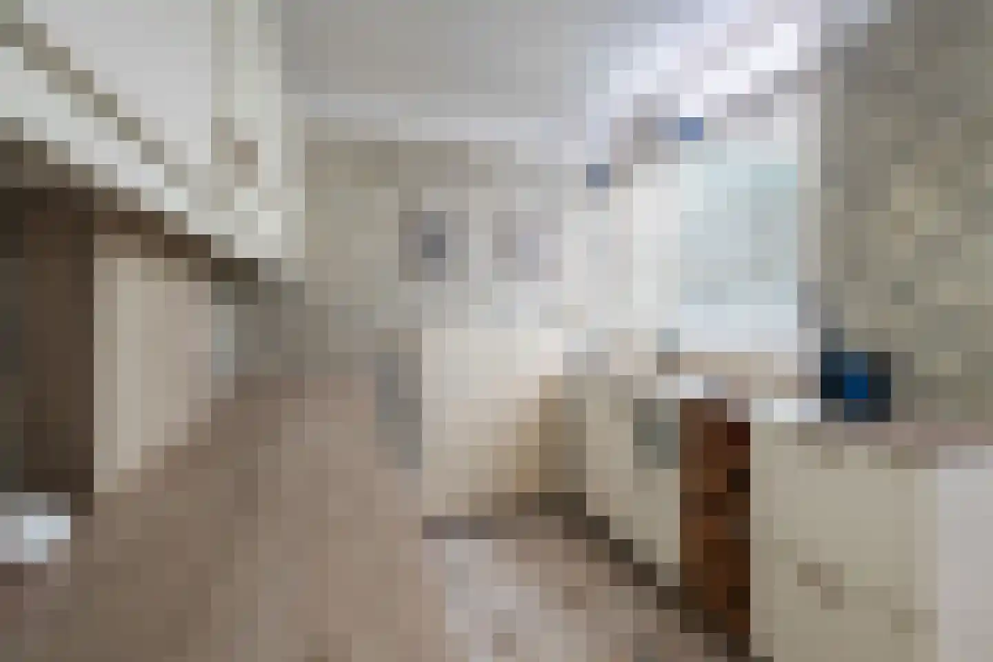 Hazelaarstraat 14 Vianen thumbnail 47