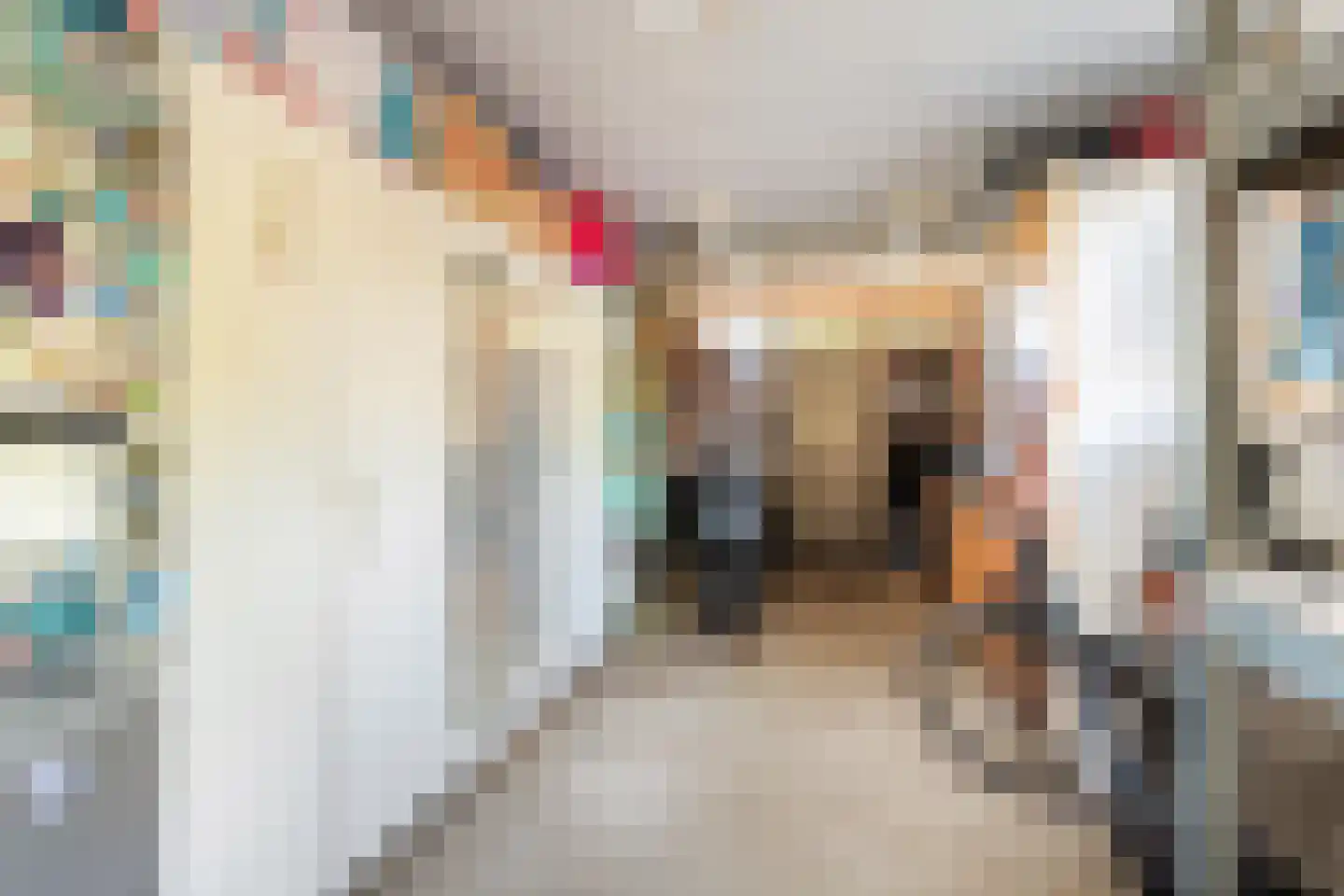 Hazelaarstraat 14 Vianen thumbnail 48