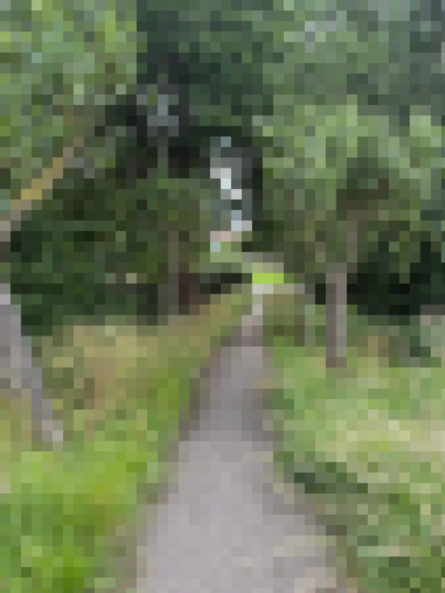 Hazelaarstraat 14 Vianen thumbnail 49